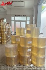 trong suốt (2)-compressed.jpg