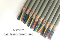 498222567_122095500362884729_6853878279038339264_n.jpg