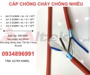 cáp chống cháy chống nhiễu.jpg