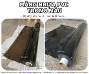 Màng nhựa pvc  trong màu (1).png