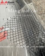 Màng mắt cáo (1).jpg