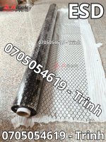 ESD (1)-compressed.jpg