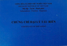 1772425984124.png 1772425984124.png