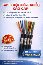 ChatGPT Image 13_46_23 11 thg 3, 2026.png