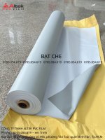 BẠT CHE-compressed.jpg