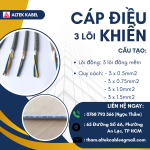 cáp điều khiển 3 lõi (1).png