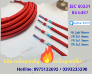 1845a21a-5f3c-4065-9812-6daf7b82b56c.png