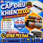cáp điều khiển 12 lõi ĐÃ CHỈNH SỬA.jpg