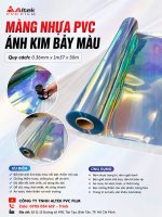 ánh kim bảy màu.jpg