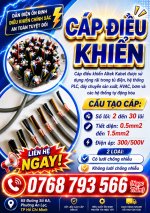 cáp điều khiển ĐÃ CHỈNH SỬA.jpg
