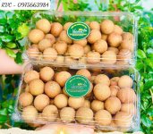 hop-dung-nhan-19.jpg hop-dung-nhan-19.jpg