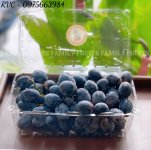 hop-dung-nho.1.jpg hop-dung-nho.1.jpg