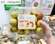 hop-dung-tao.1.jpg
